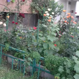 Mvk Sofia